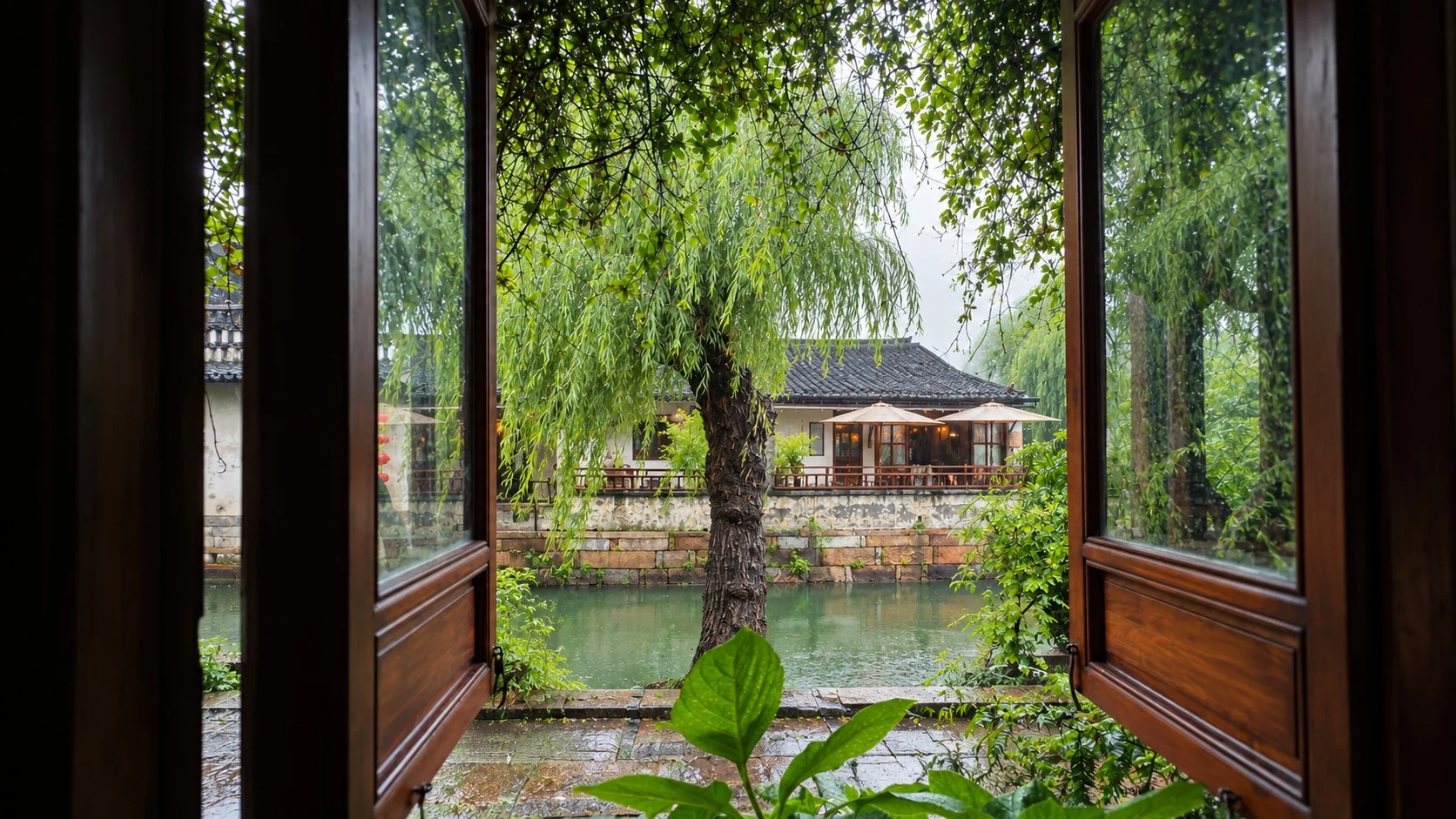 从半尘茶室木窗望向西塘水岸与柳树