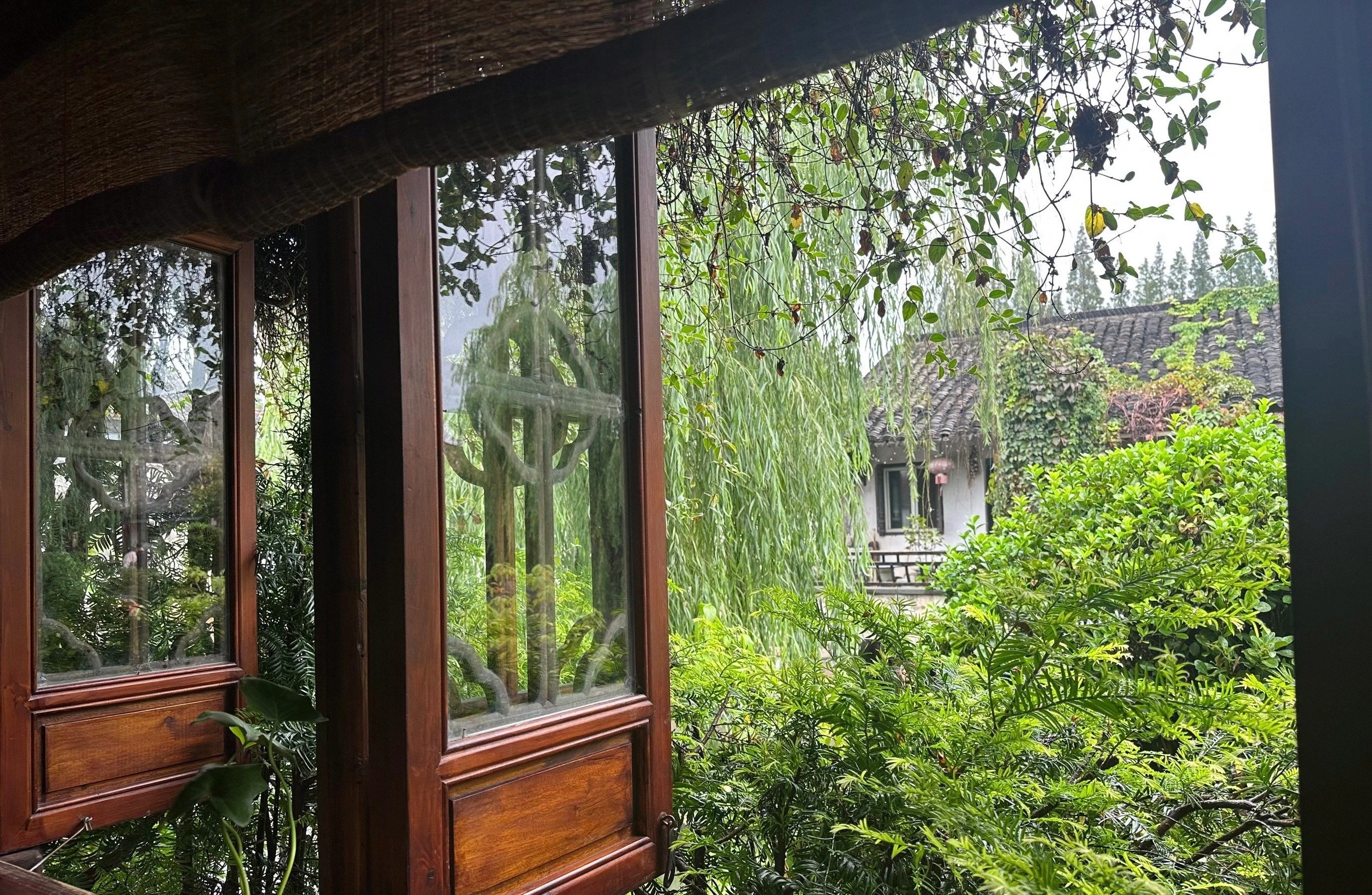 半尘茶室的木窗与窗外江南园林